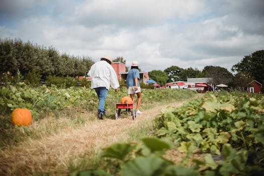 a farmer in a field during harvest season