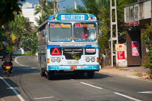 Rural bus stop