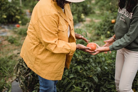 community members working together in a garden