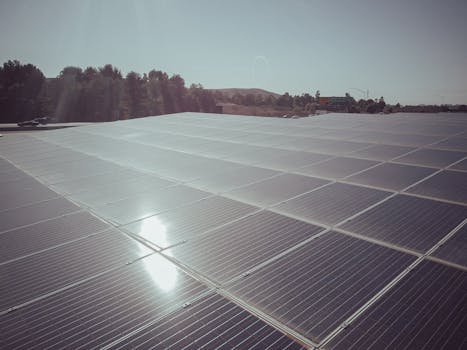 eco-friendly farming with solar panels