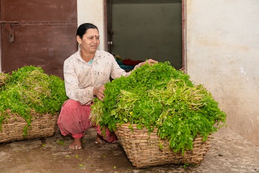 community garden with fresh vegetables