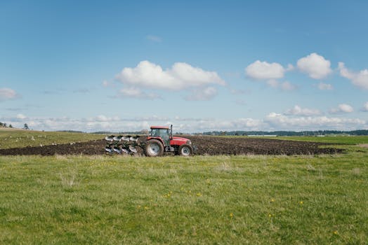 rural entrepreneur working on a farm