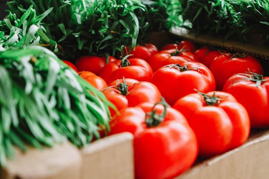 Fresh produce at a vibrant farmers’ market