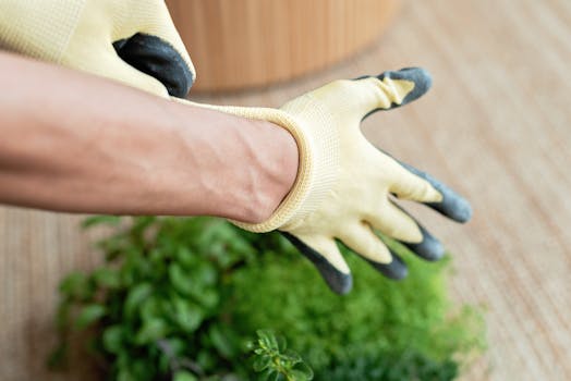 Growing vegetables in a backyard garden