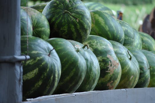 Local farm with fresh produce