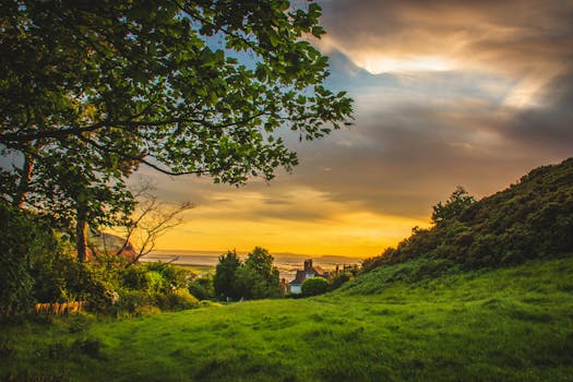 beautiful sunset in the countryside