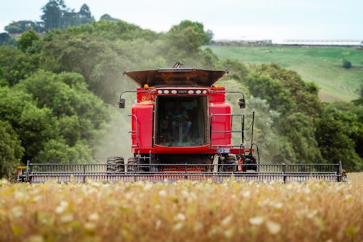 tractor working in the field