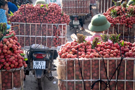 farmers market with produce