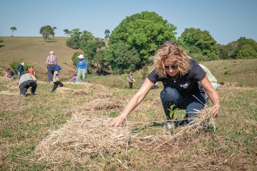 community supported agriculture