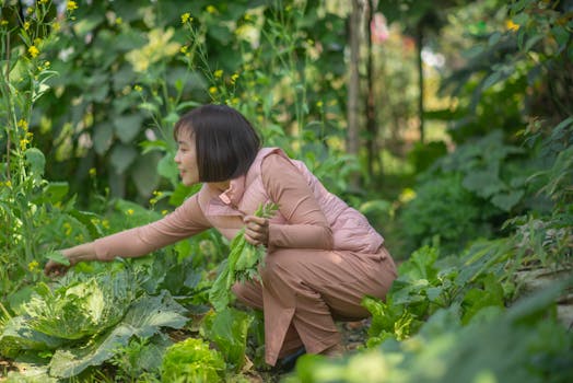 a small backyard garden with herbs and vegetables