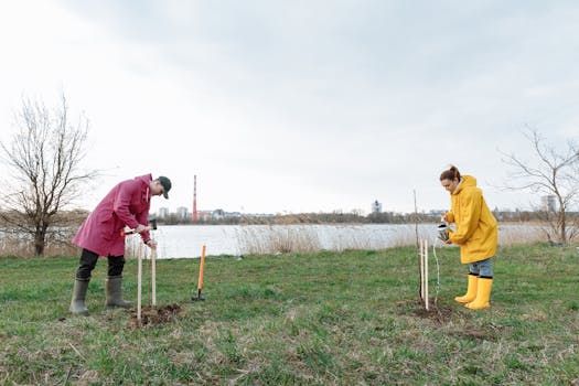 community gardening effort