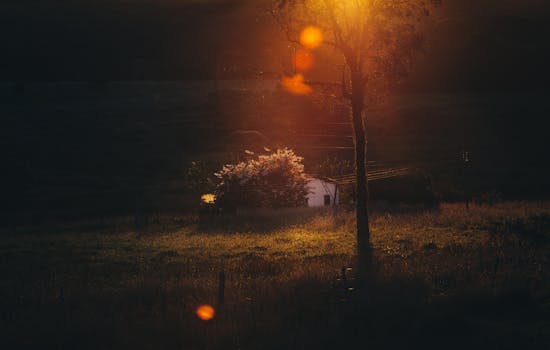 rural landscape with a small house