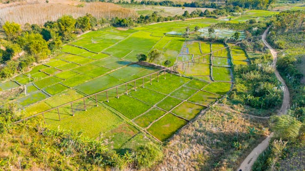 beautiful rural landscape