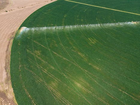 image of drip irrigation system in use