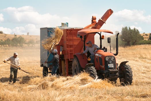 Farmers working in a field with varying crop yields