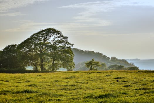 beautiful rural landscape