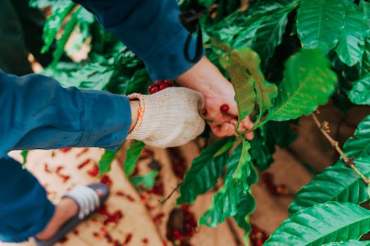 sustainable farming practices