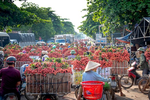 local farmers market