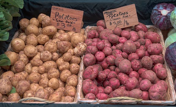 fresh vegetables at a farmers market