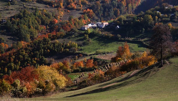 aerial view of farmland