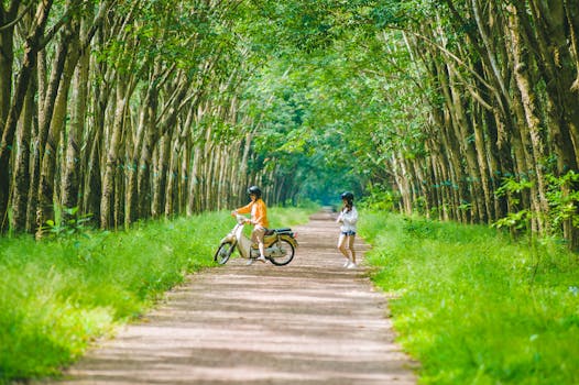 Scenic walking path in a rural area